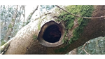 gallery thumbnail image