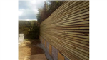 gallery thumbnail image