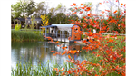 gallery thumbnail image
