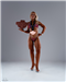 gallery thumbnail image