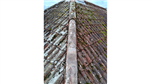 gallery thumbnail image