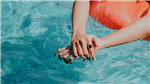 gallery thumbnail image