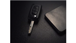 gallery thumbnail image