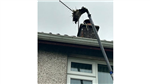 gallery thumbnail image