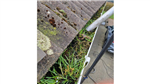 gallery thumbnail image