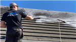 gallery thumbnail image