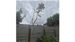 gallery thumbnail image