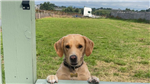 gallery thumbnail image