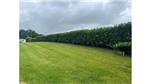 gallery thumbnail image