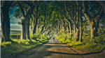 gallery thumbnail image