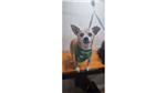 gallery thumbnail image