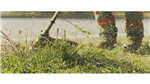 gallery thumbnail image