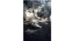 gallery thumbnail image