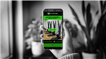 gallery thumbnail image