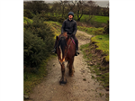 gallery thumbnail image