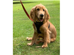 gallery thumbnail image