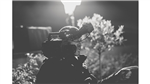 gallery thumbnail image