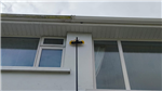 gallery thumbnail image