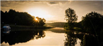 gallery thumbnail image