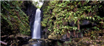 gallery thumbnail image