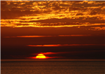 gallery thumbnail image
