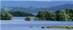 gallery thumbnail image