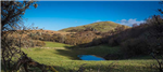 gallery thumbnail image