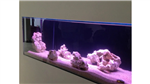 gallery thumbnail image
