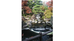 gallery thumbnail image