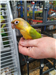 gallery thumbnail image