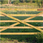 gallery thumbnail image