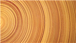 gallery thumbnail image