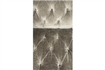 gallery thumbnail image