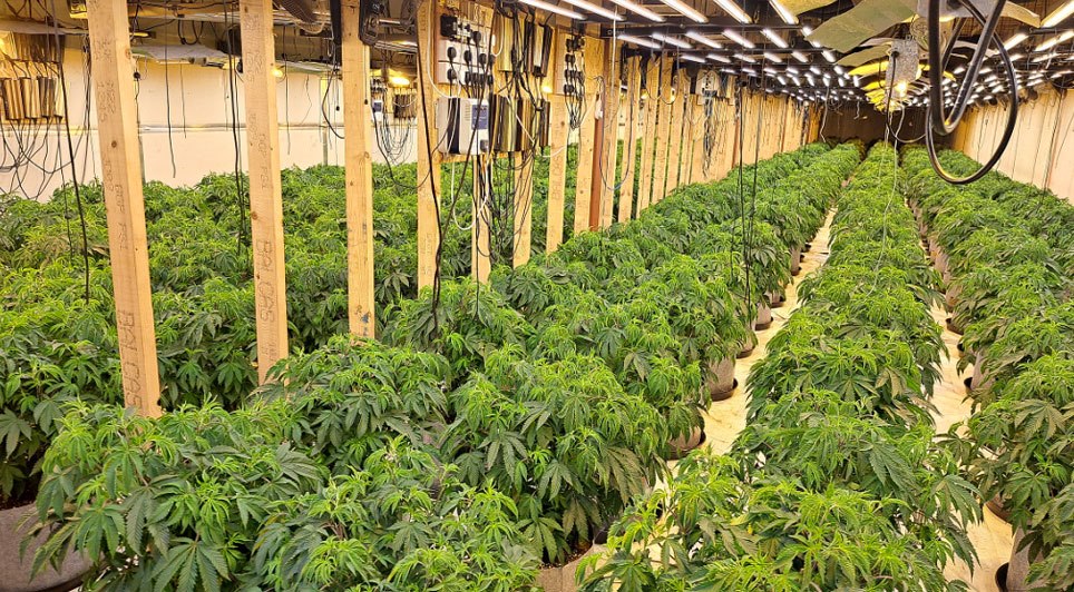 £1.4 Million Seized In Organised Crime Branch Operation